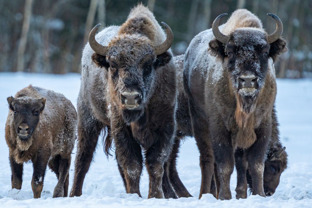 Photograph by Alexey Ogarkov