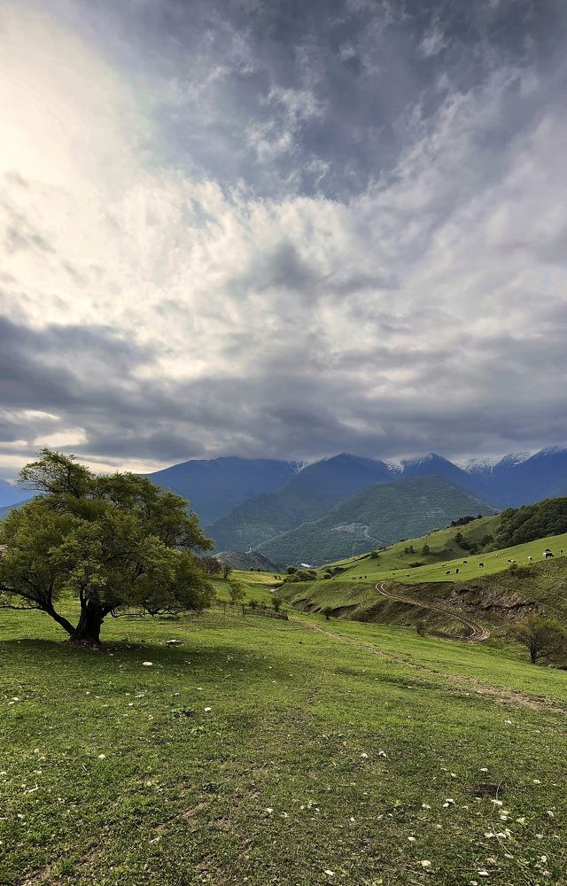 Photograph by Мария Алейникова