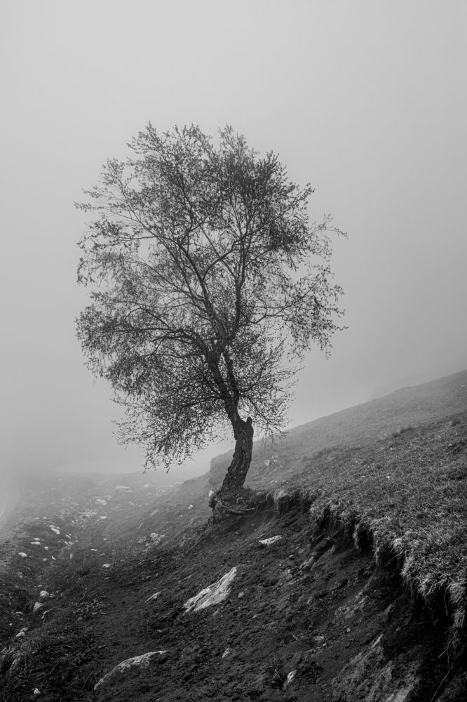 Photograph by Nesterov Konstantin