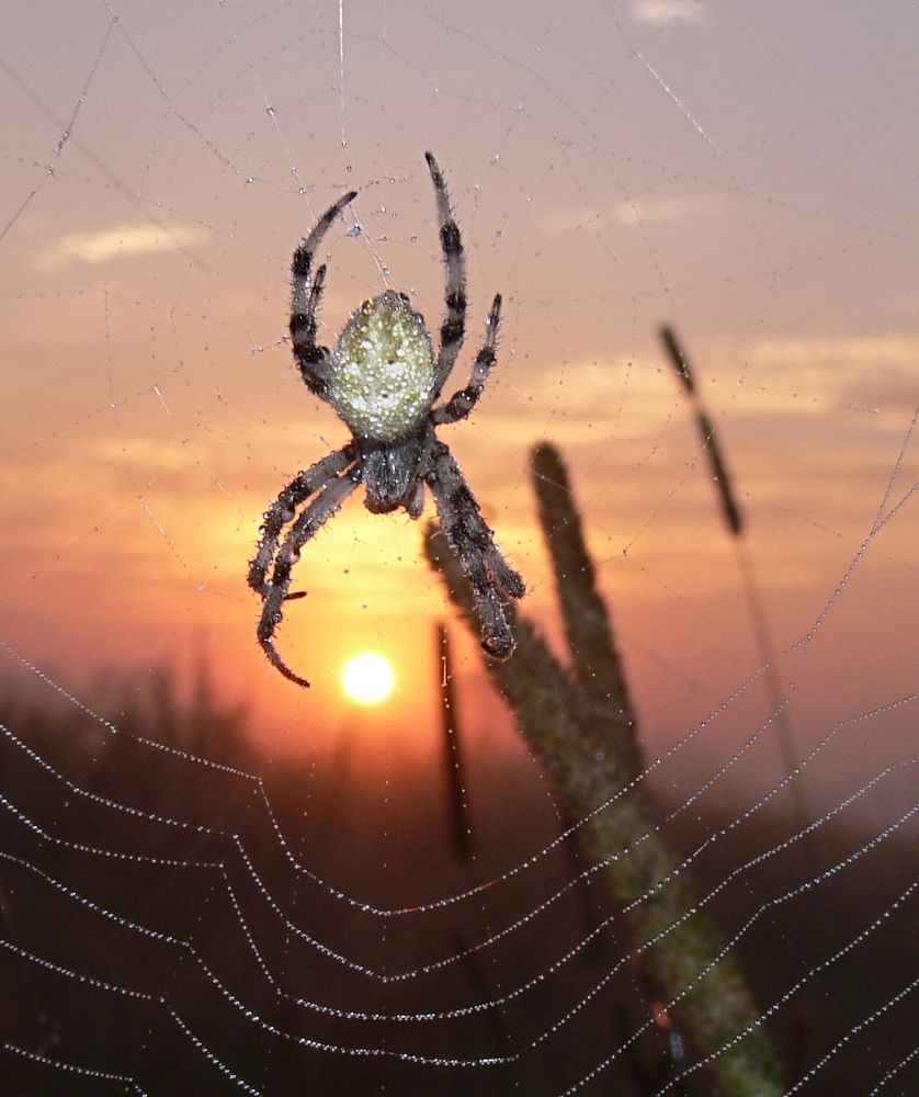 Фотография автора Борис Журавлёв