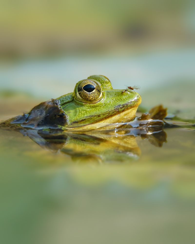 Photograph by Mirza Md moon ridoy