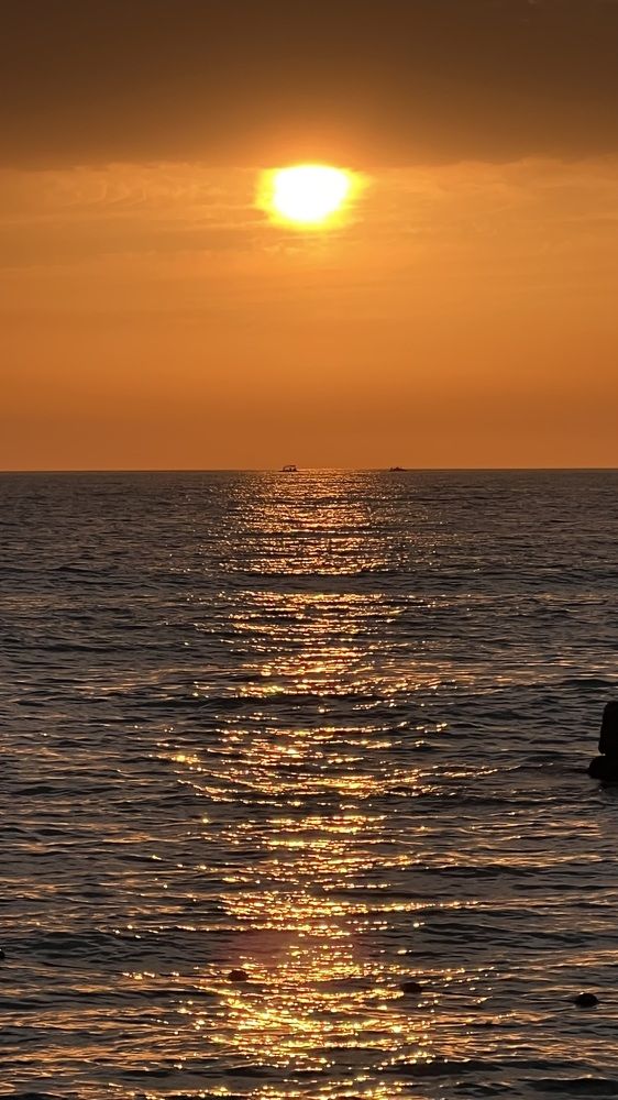 Photograph by Елена Мизина