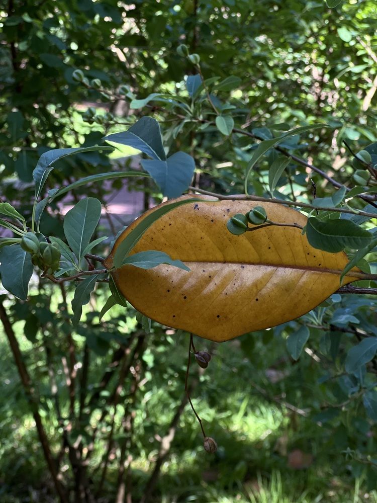 Photograph by Елена Мизина