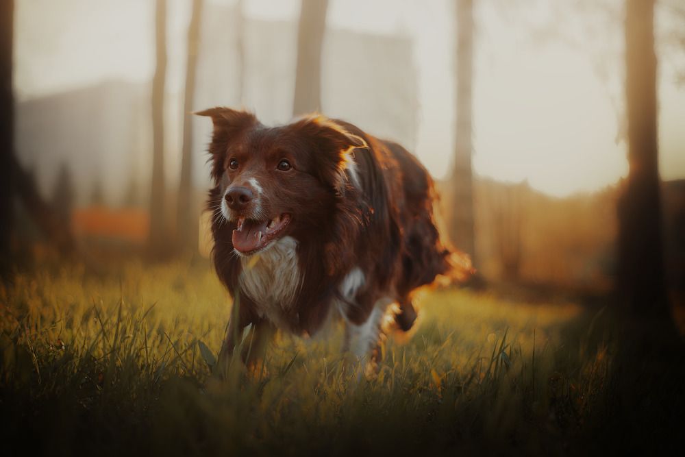 Photograph by Екатерина Котик