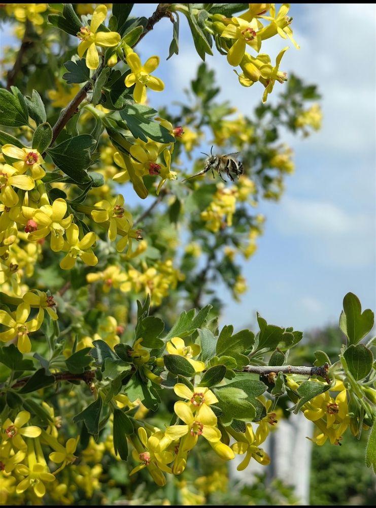 Photograph by Ирина Тихая