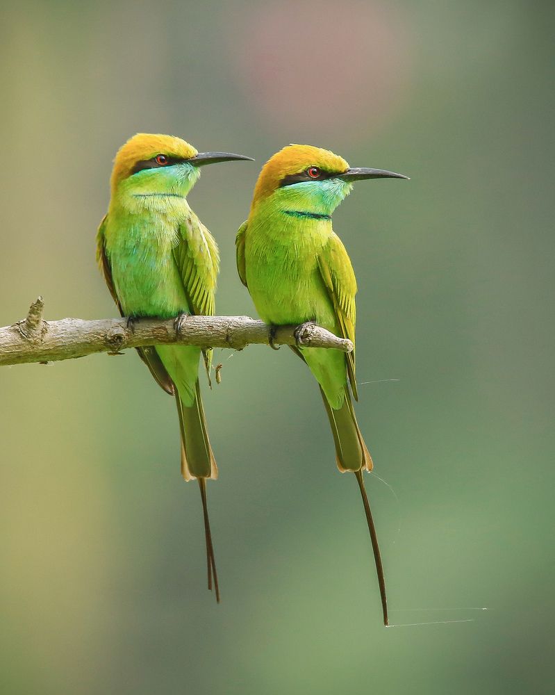 Photograph by Mirza Md moon ridoy