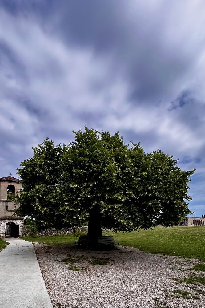 Photograph by Елена Мизина