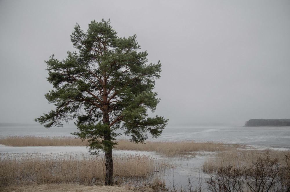 Одиноко, пустынно, но не грустно