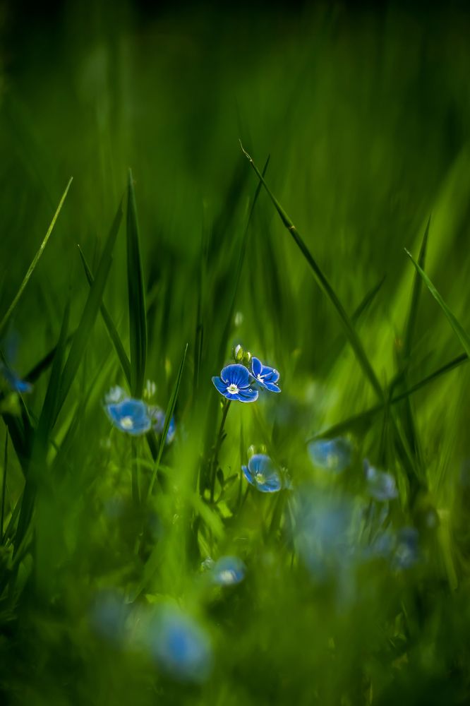 Photograph by Thaïs de Benoist de Gentissard