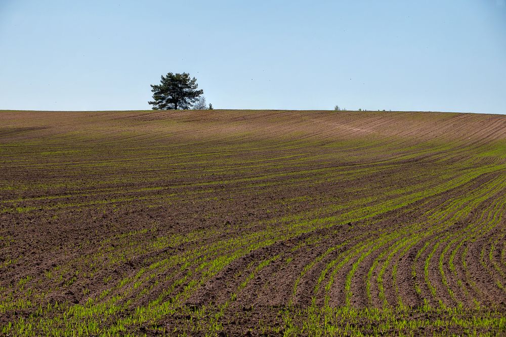 Photograph by Светлана Ващенко