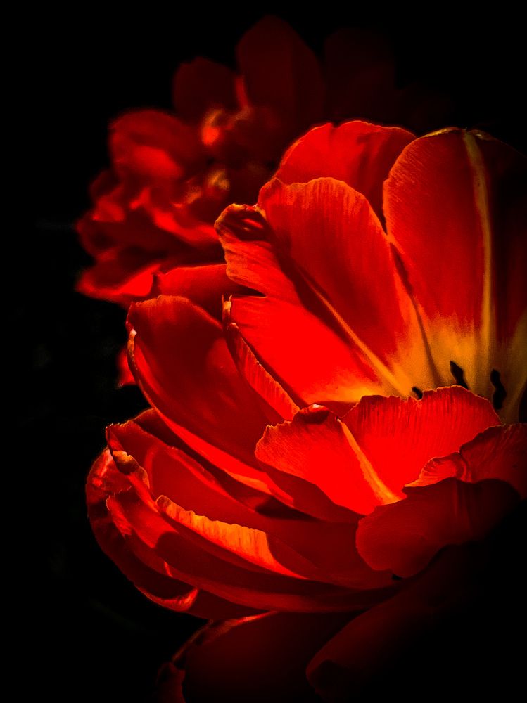 Photograph by Елена Башмакова