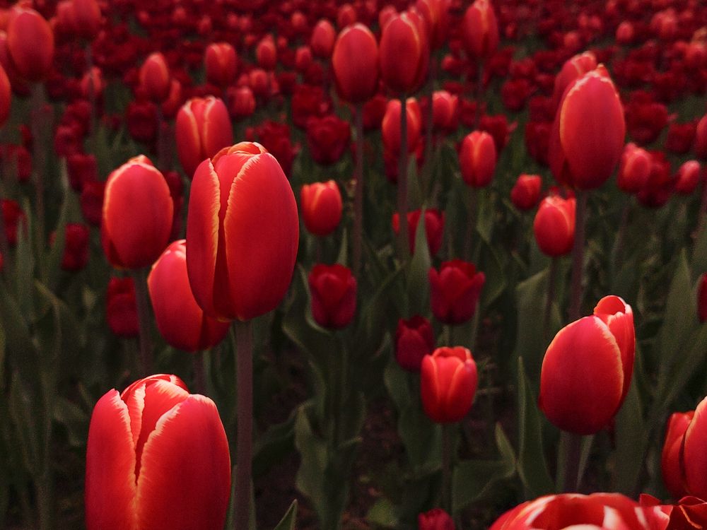 Photograph by Ольга Остроумова