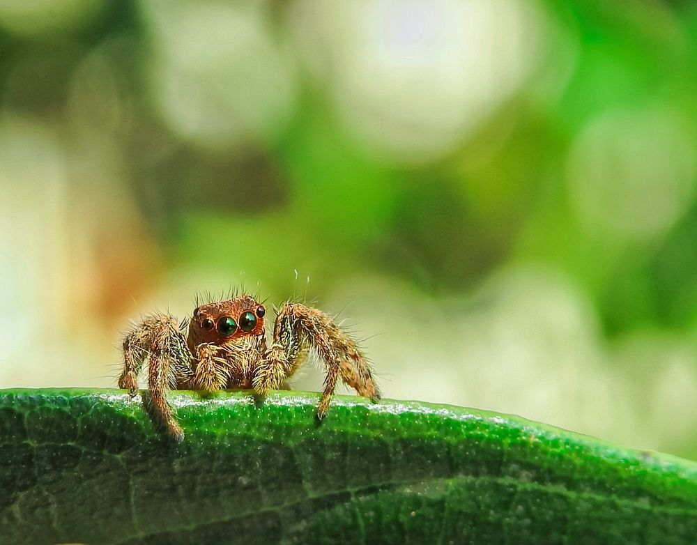 Photograph by Harshith Sangaraju