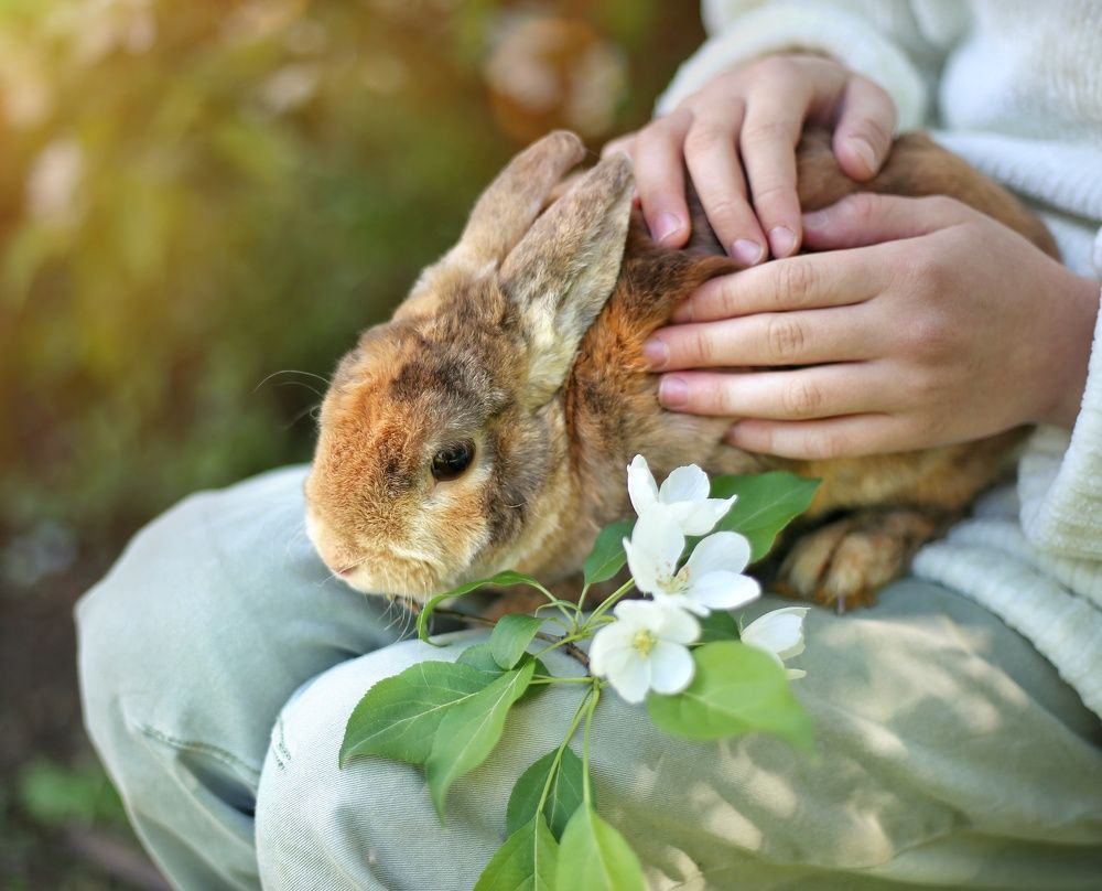 Photograph by Алсу Хусаинова