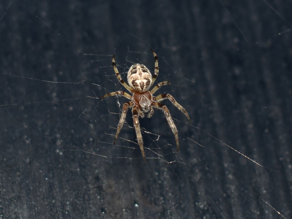 Photograph by Николай Абакумов