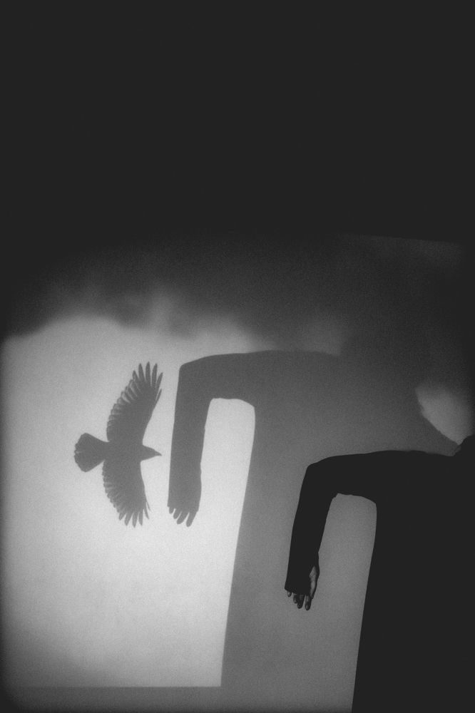 Фотография автора Елена Глухова