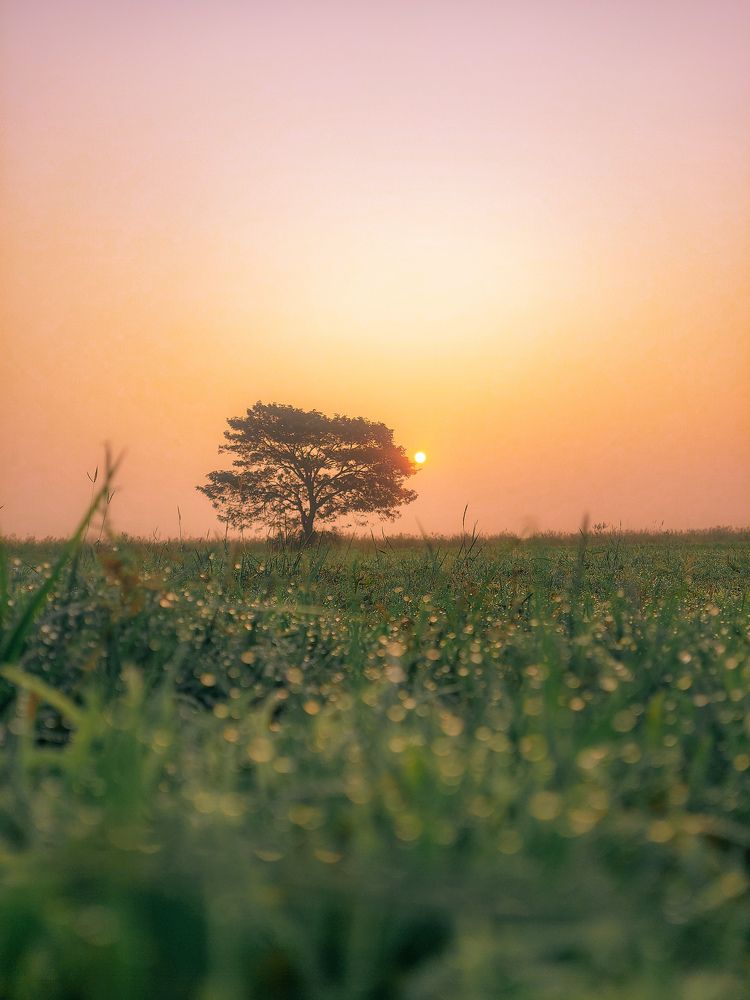 Photograph by Harsh Vankhede