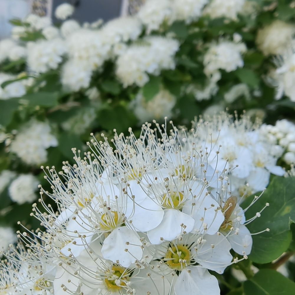 Photograph by Юрий Полушин