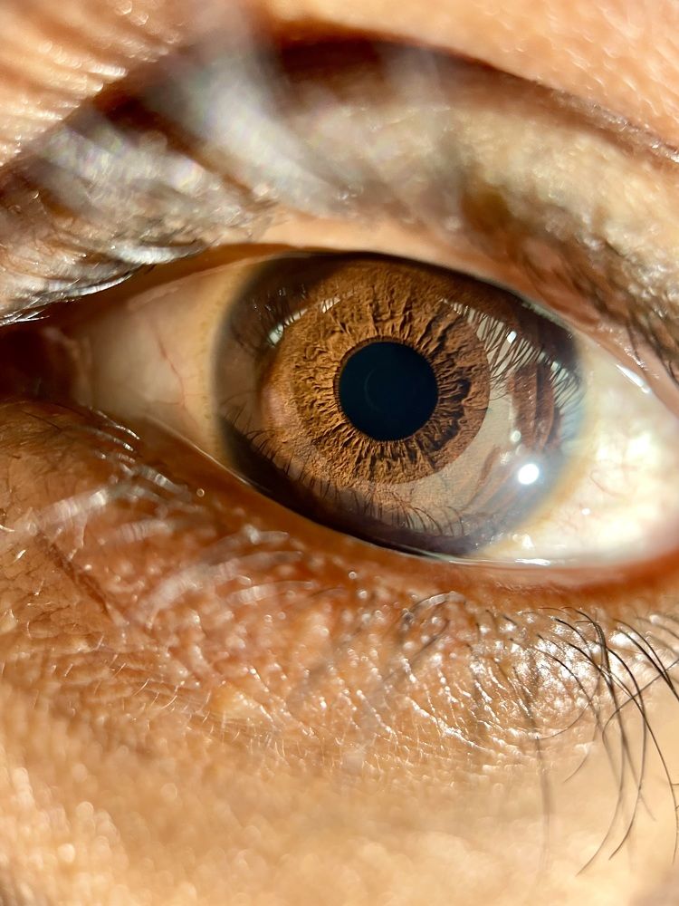 Photograph by Aashu Pandya