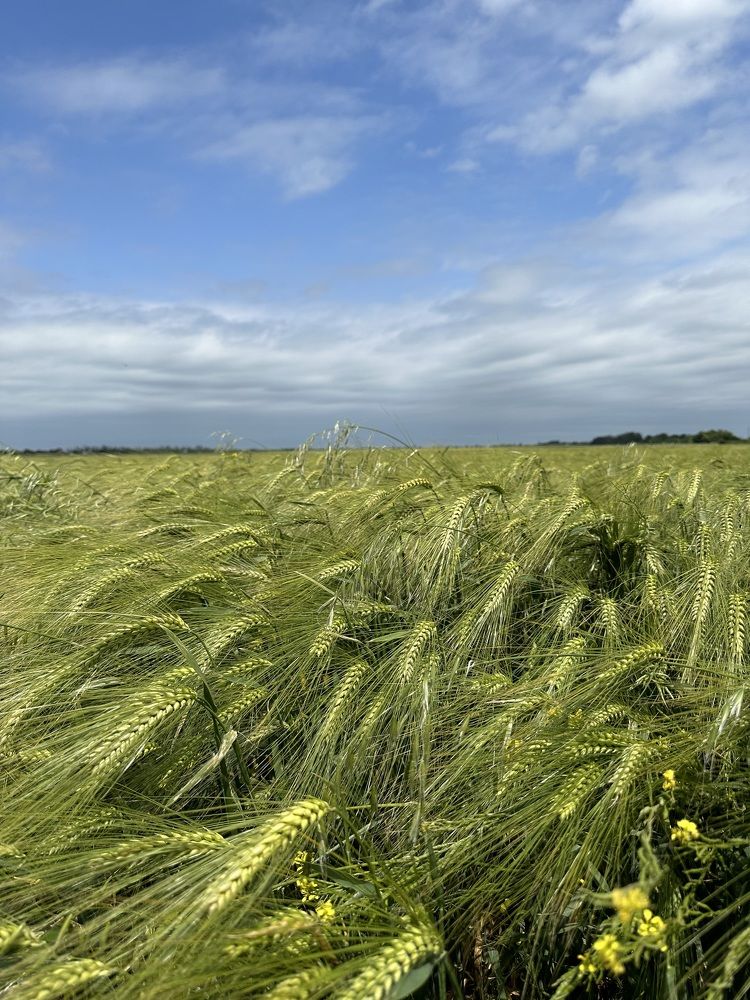 Photograph by Наталья Берон