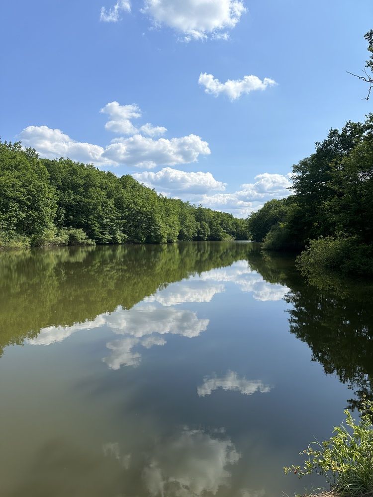 Зеркальный мир