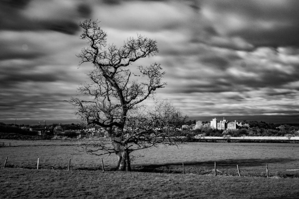 Photograph by Sergejs Barkans