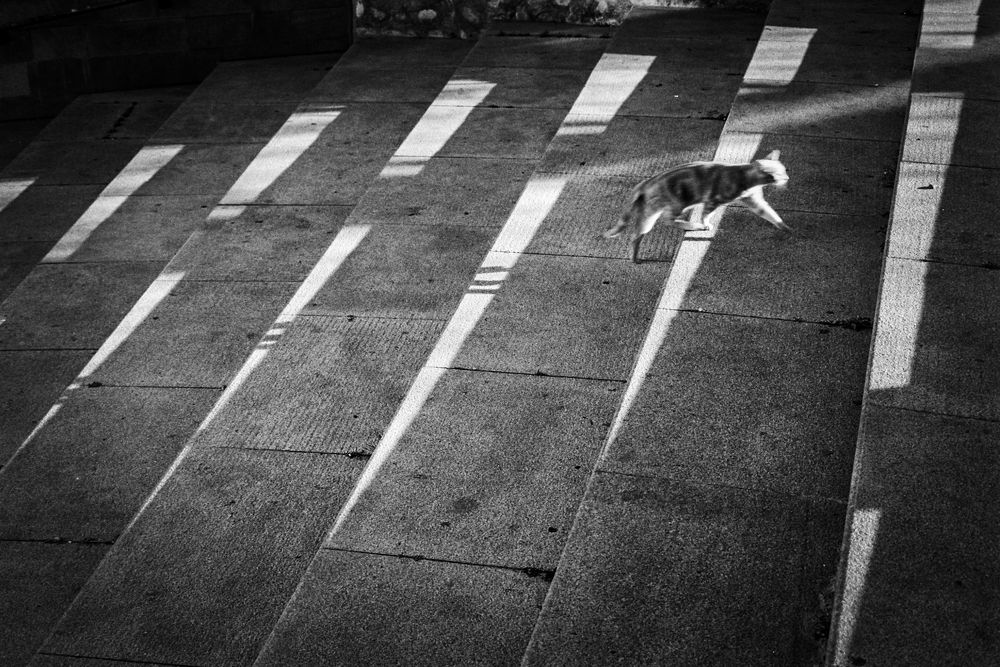 Photograph by NATACHA PERSYN