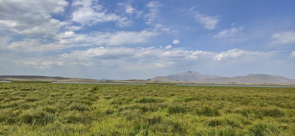 Фотография автора Taka2311