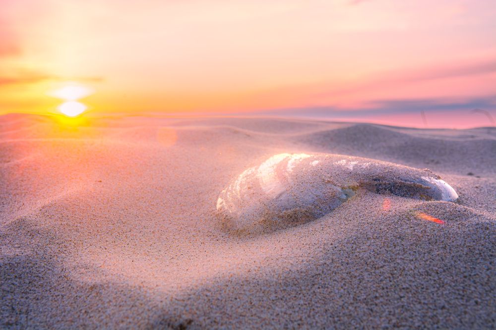 Photograph by Алексей Ильин