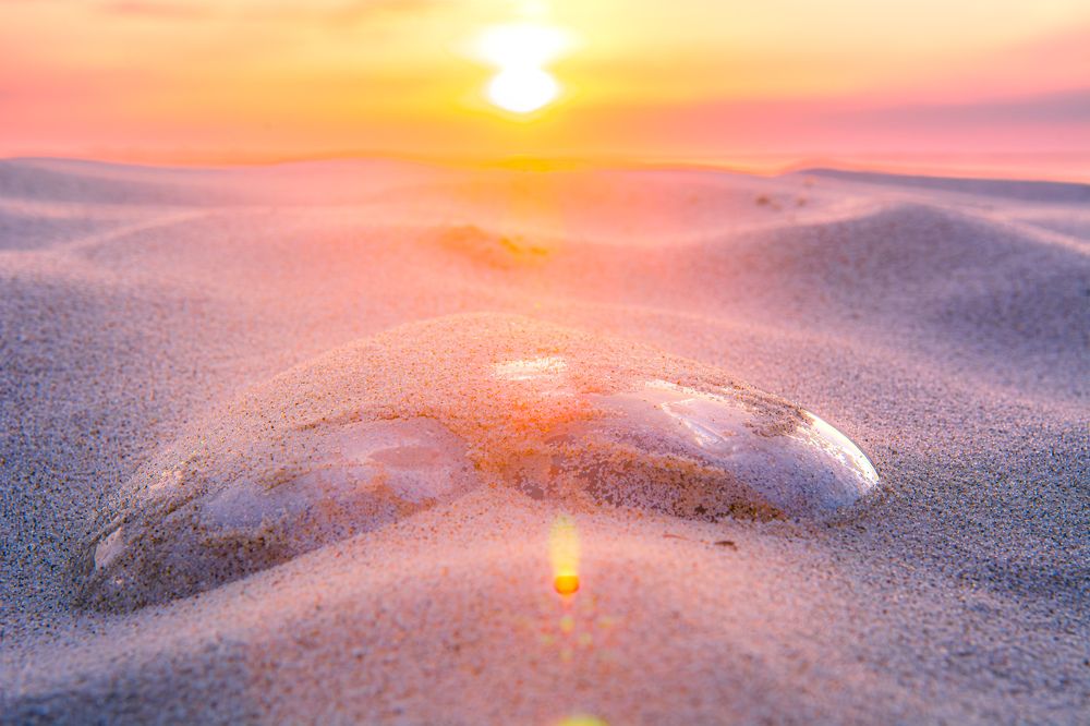 Photograph by Алексей Ильин