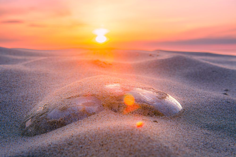 Photograph by Алексей Ильин