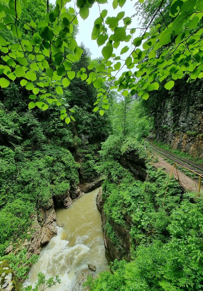 Фотография автора Наталья