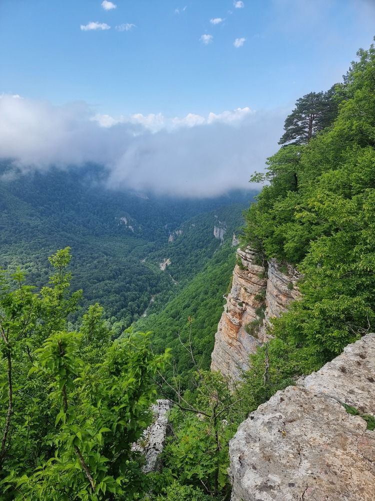 Фотография автора Наталья