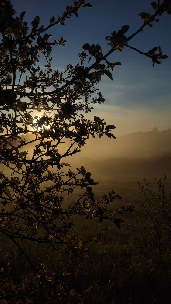 Фотография автора Юлия Шидловская