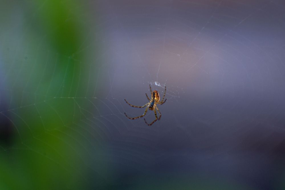 Photograph by Николай Грекалов