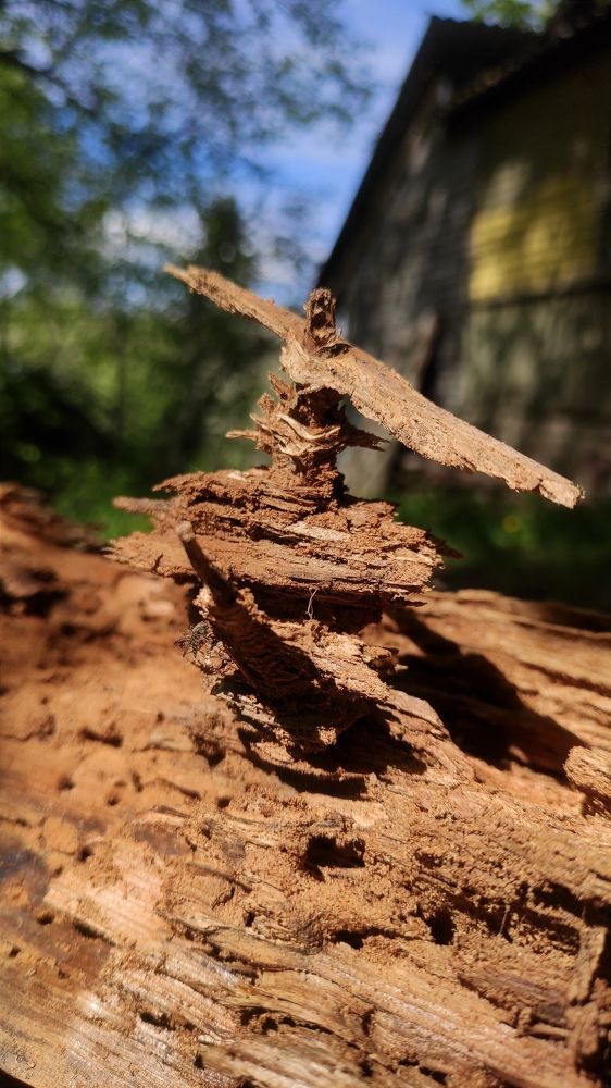 Фотография автора Юлия Шидловская