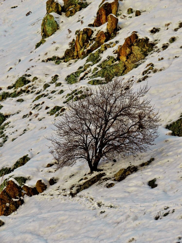 Фотография автора Mahdi Mohammadi