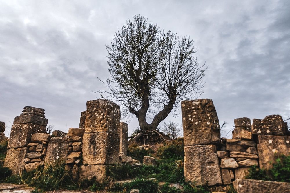 Photograph by moussaab