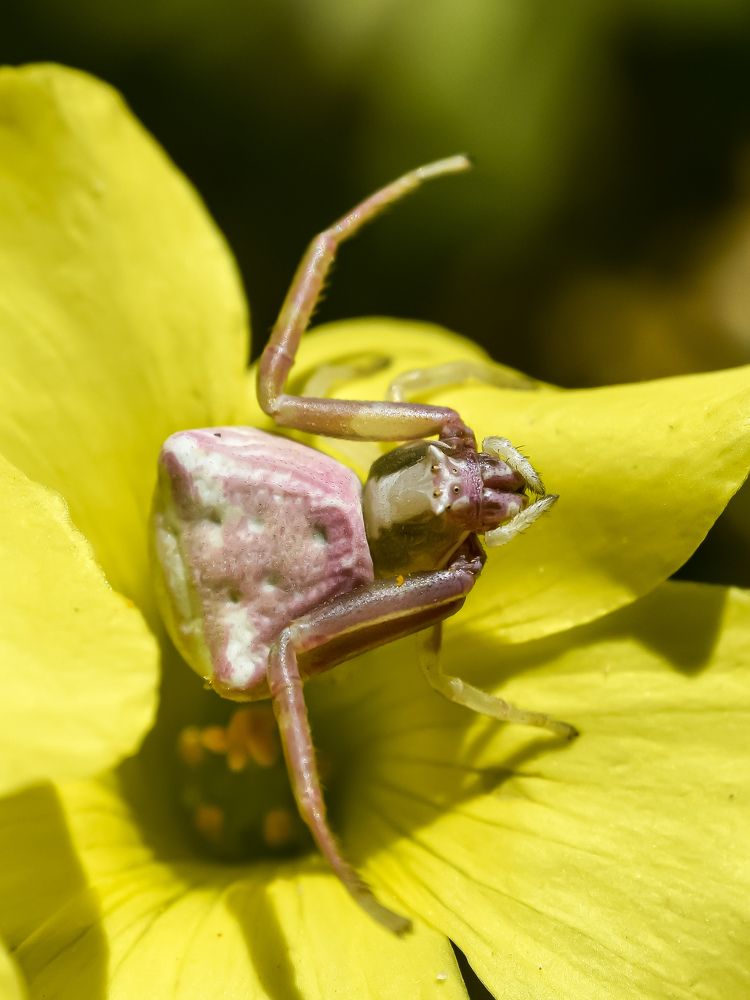 Photograph by imed ghrairi