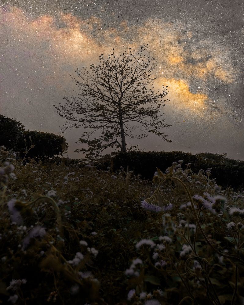 The night sky whispers.