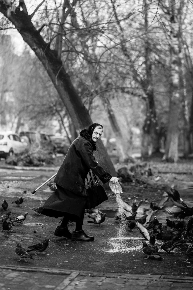 Photograph by Алексей Андреев