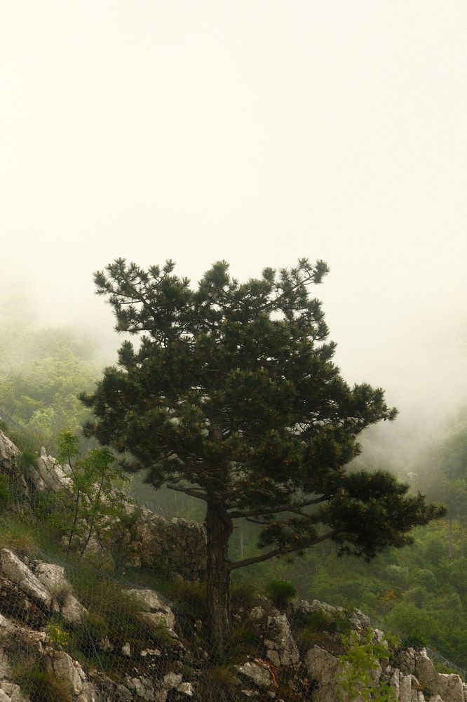 Photograph by Roman Vislobokov