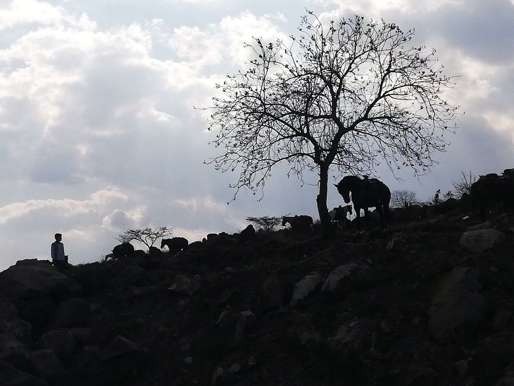 Photograph by Andrea Alcalá