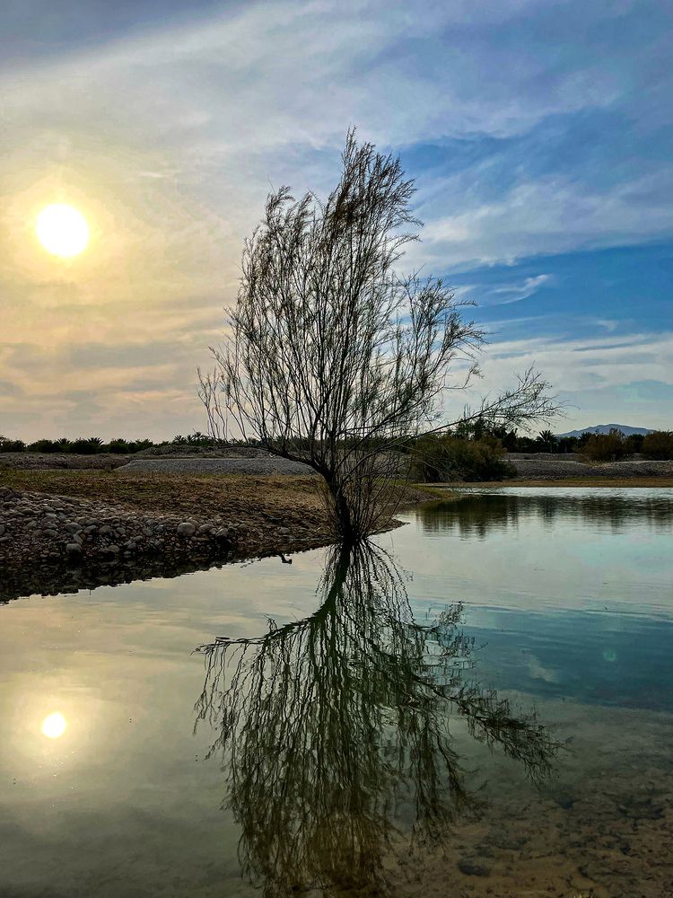 Фотография автора Ebrahim Rahiminezhad