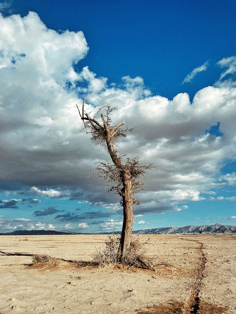 Фотография автора Ebrahim Rahiminezhad