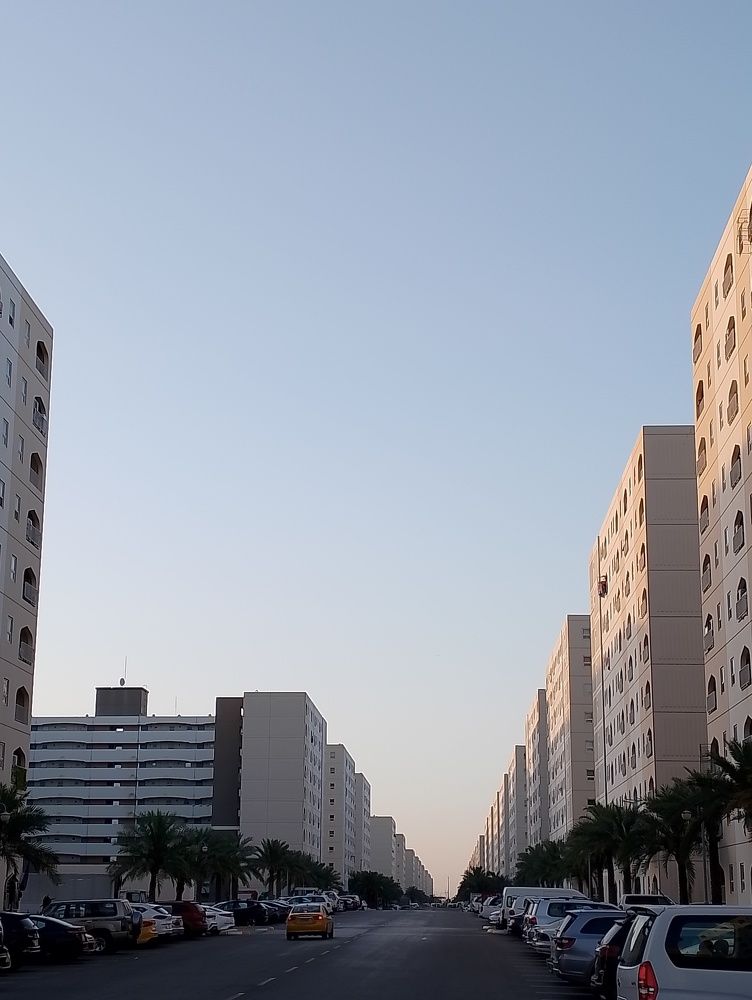 Photograph by Shaiban photography