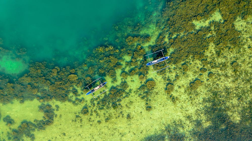 Idle local fishing boats