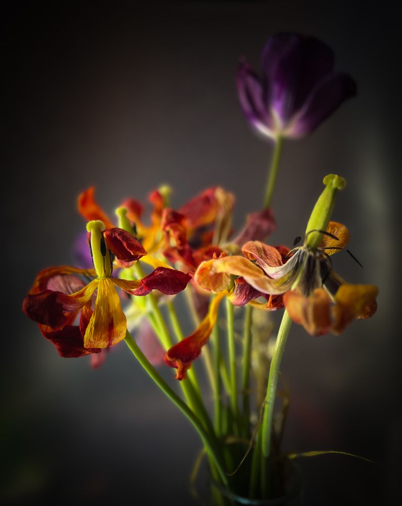 Photograph by Дидковская Анастасия