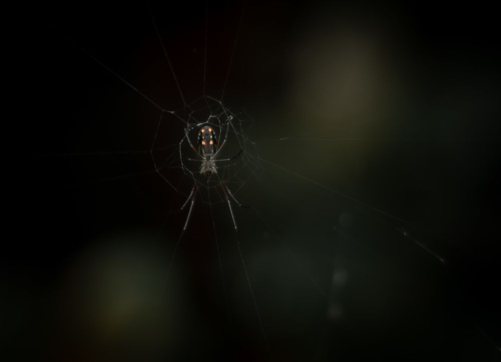 Photograph by Adelaida Frias Hernández