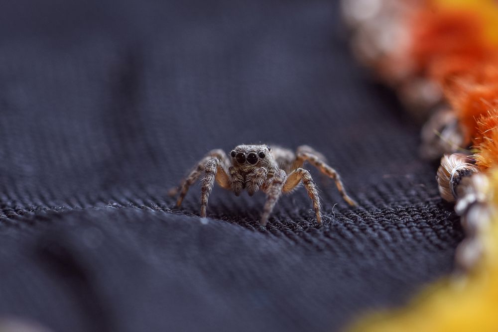 Photograph by Aлена Плясова